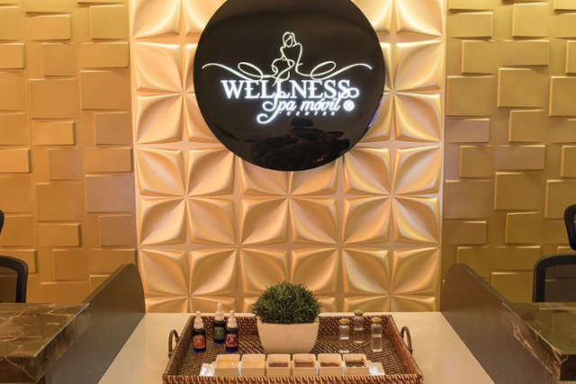 Wellness Spa Movil Center